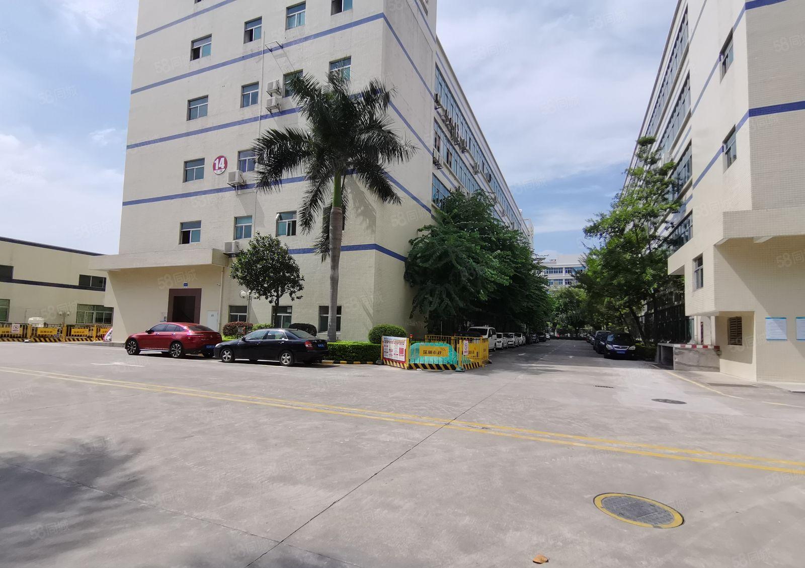 原房东厂房仓库出租证件齐全5百1千3千平起租惠阳沙田8万平