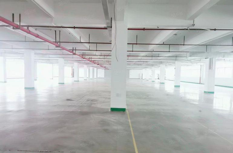 惠阳秋长独门独院4300平证件齐全可办环评