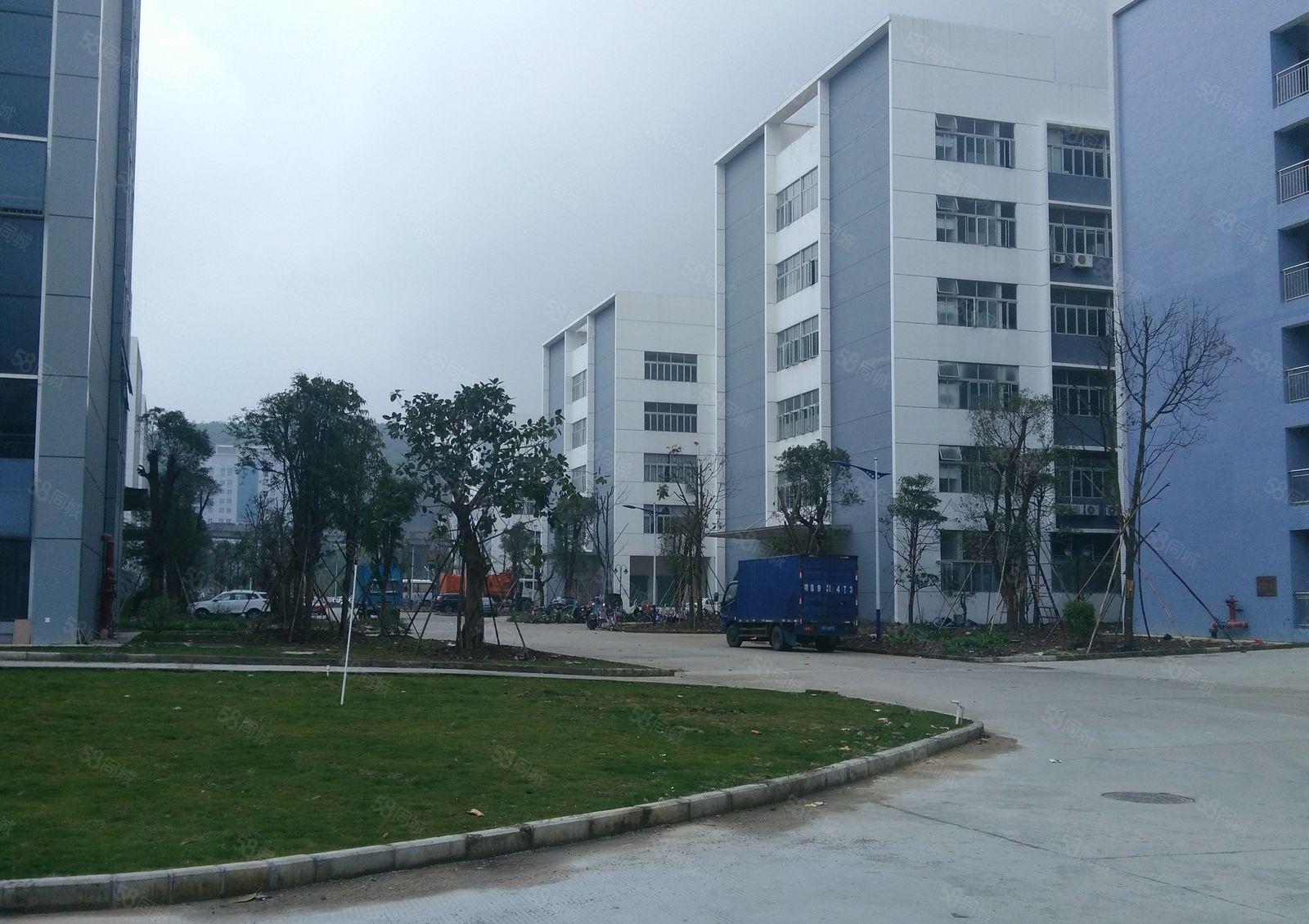 惠阳区沙田全新工业园标准厂房面积五万平米出租