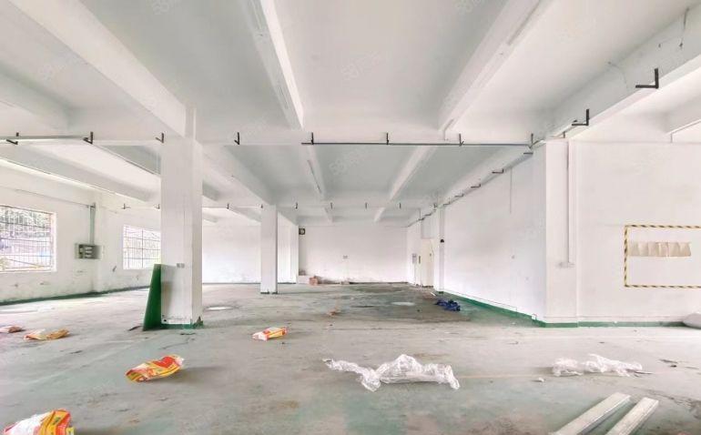 10元起租！临深高新产业！惠阳新圩独院标准4层厂房