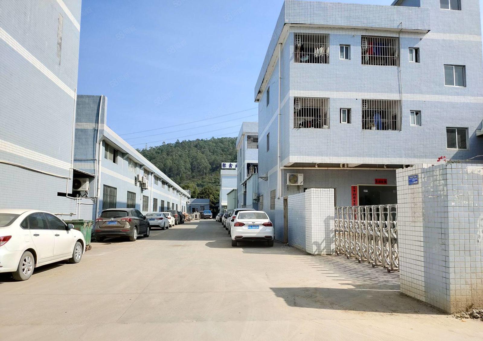 惠阳新圩长布村原房东独院钢构4800平方厂房出租靠近高速路口