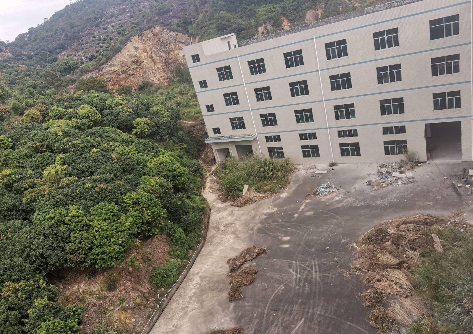 （独院厂房出租）新圩独栋11800平厂房出租，证件齐全可分租