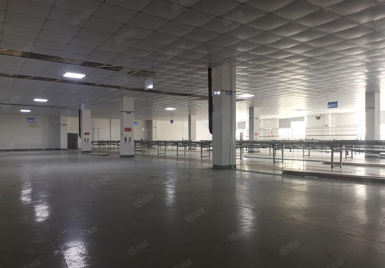 惠阳新圩镇5760平方独门独院原房东标准厂房出租，也可分租