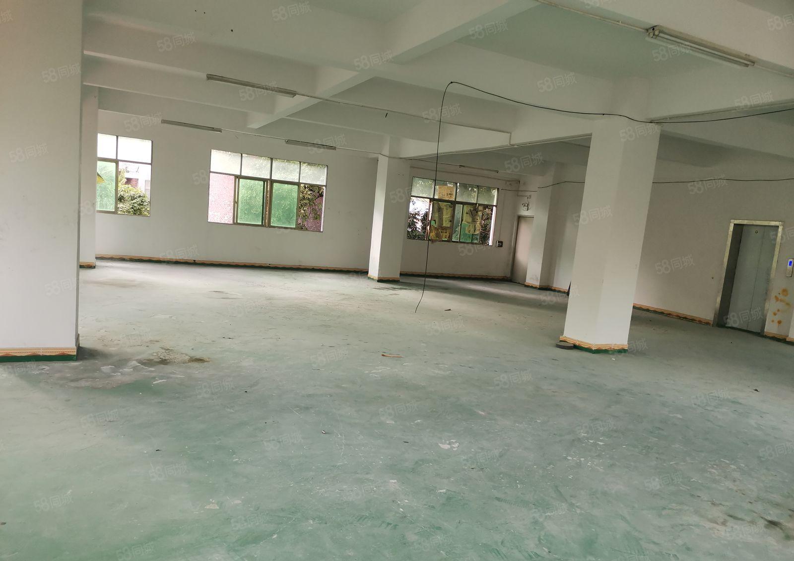 惠阳秋长新塘黄埔学校旁边带地坪漆楼上400平出租