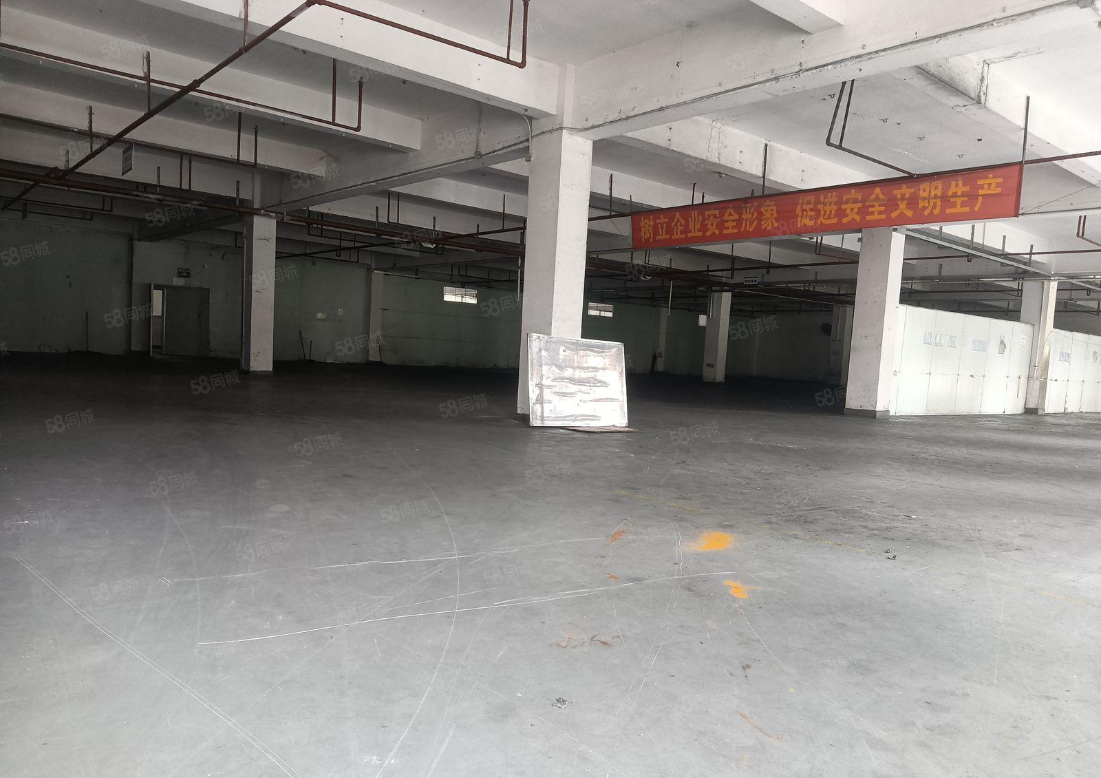 厂房出租惠阳秋长伯恩光学附近楼上1500平，带消防喷淋