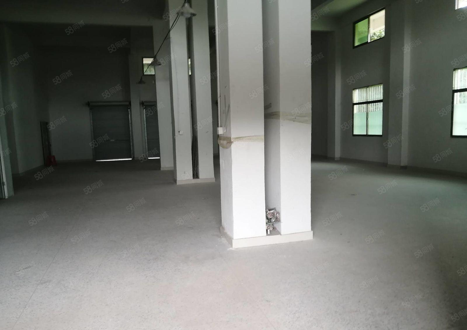 惠阳白石新出原房东标准厂房一楼300平实际面积