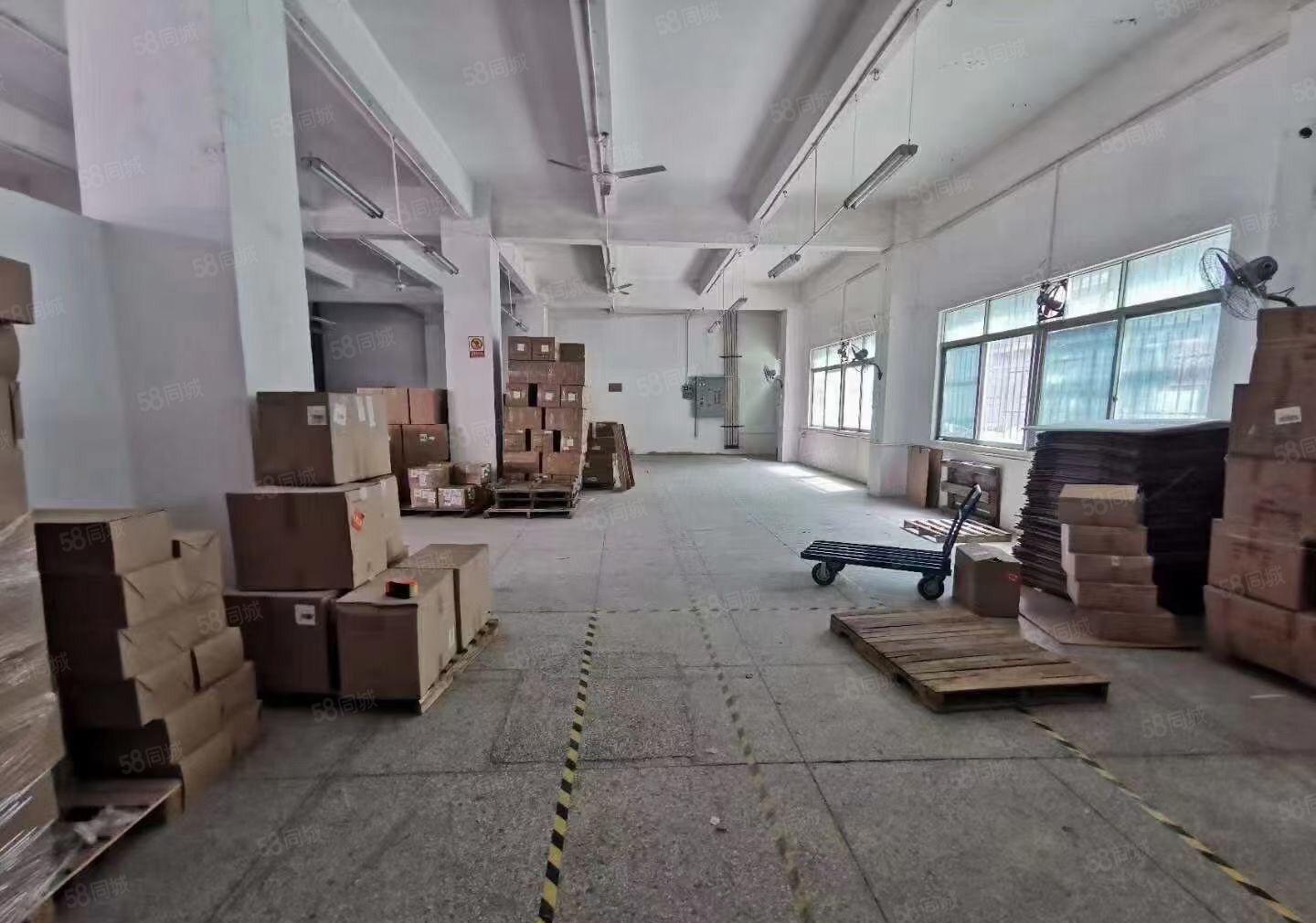 新圩塘吓一楼小面积厂房300平600平出租