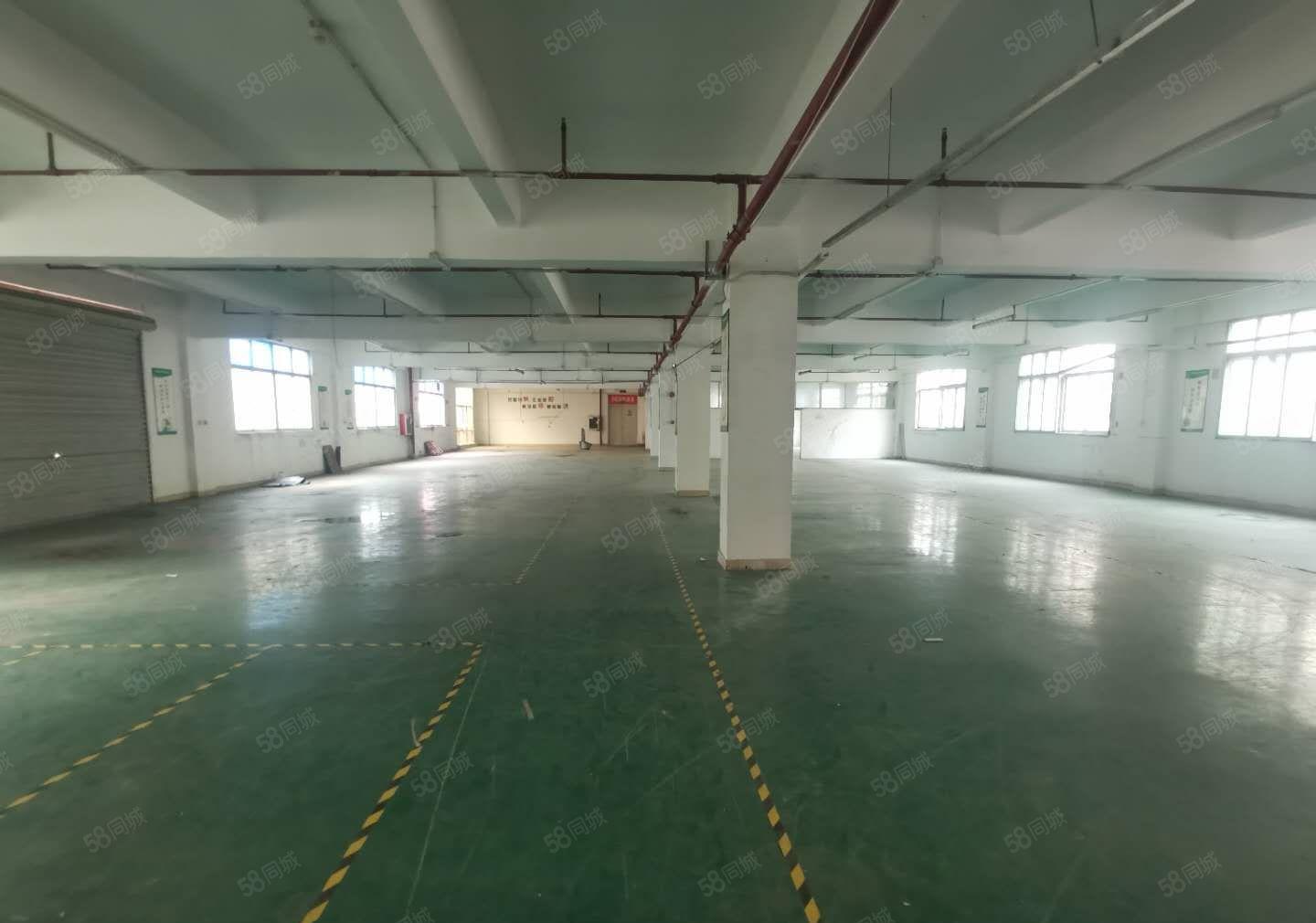 惠阳秋长新塘华叶家博园附近大货梯有卸货平台带装修家私厂出租