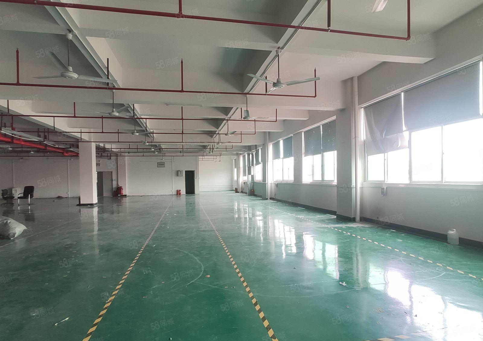 10元起惠阳新圩长布工业区5000平方仓库出租500平方起租