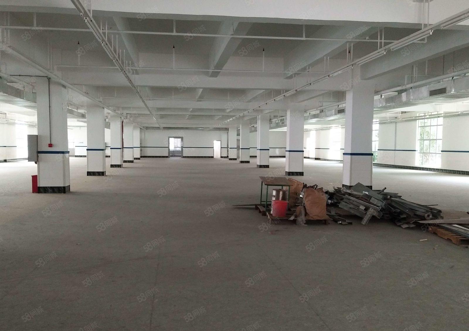 独院厂房招租，厂房4500平米，宿舍1200平米