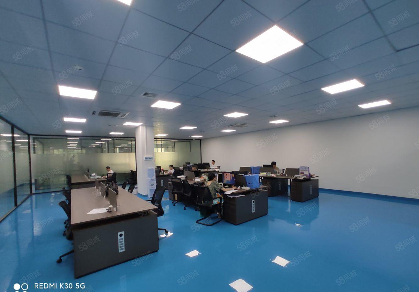 沙田镇长龙岗工业区全新2000标准无尘车间厂房出租，可分租