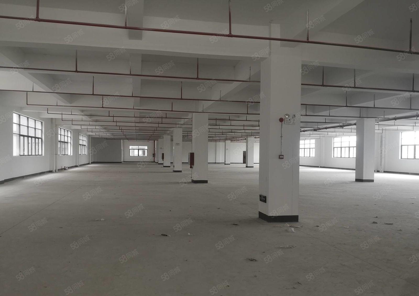 镇隆万里工业区 全新红本20000平标准厂房出租 大小可分租