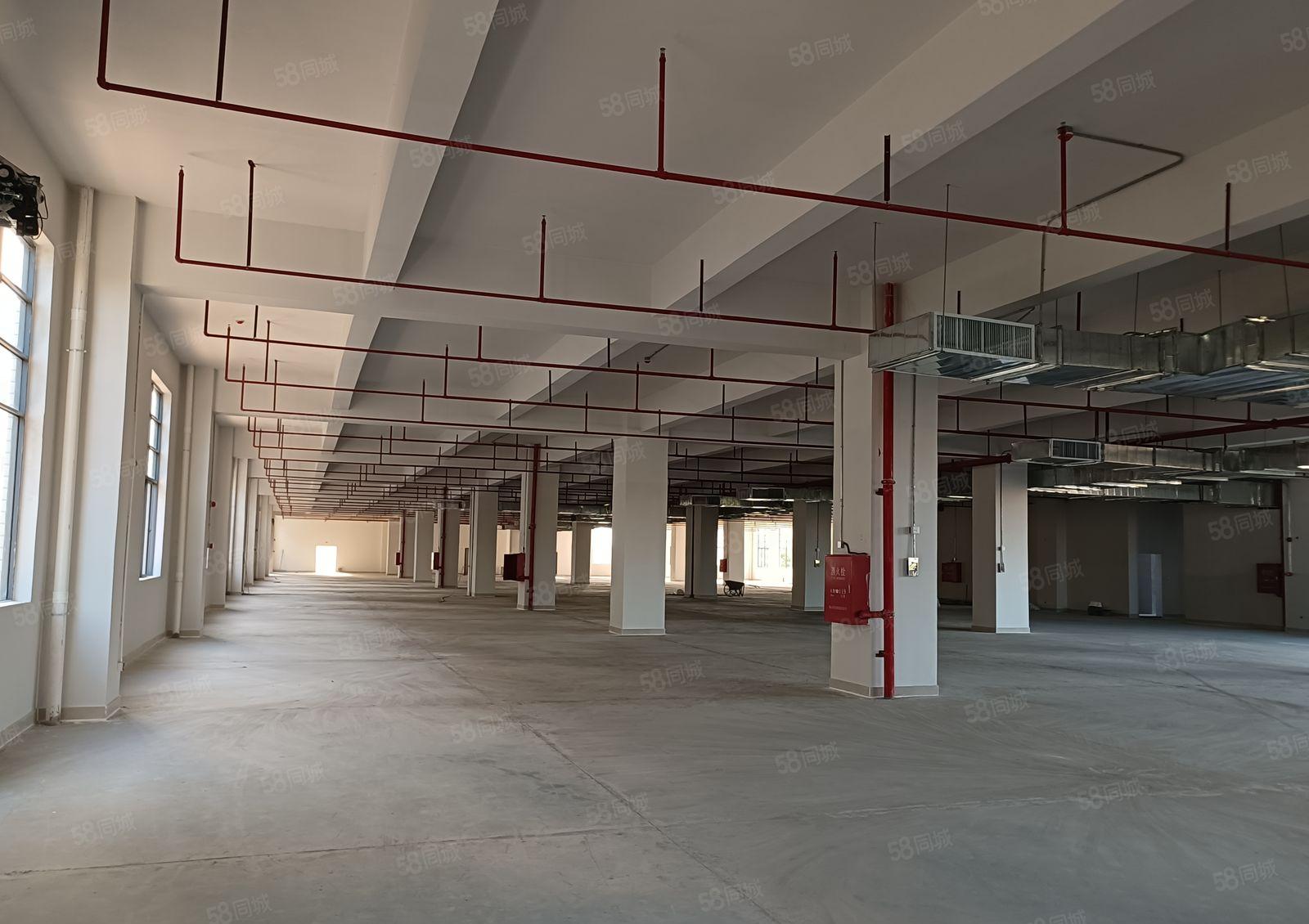 （500平方起分租）惠阳镇隆全新红本厂房40000平方