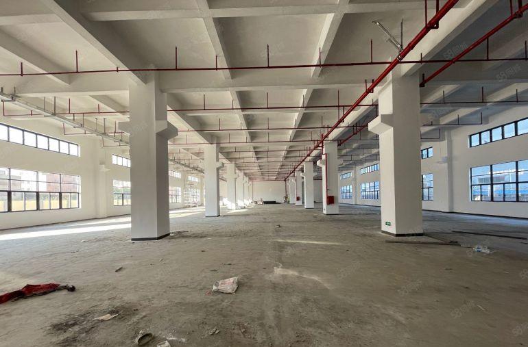 全新原房东红本标准厂房36000平任意分租