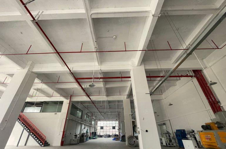 8.8元，免租一整年惠阳三和整层1250出租