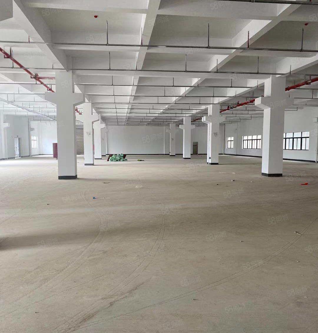 镇隆镇独门独院厂房出租全新厂房出租