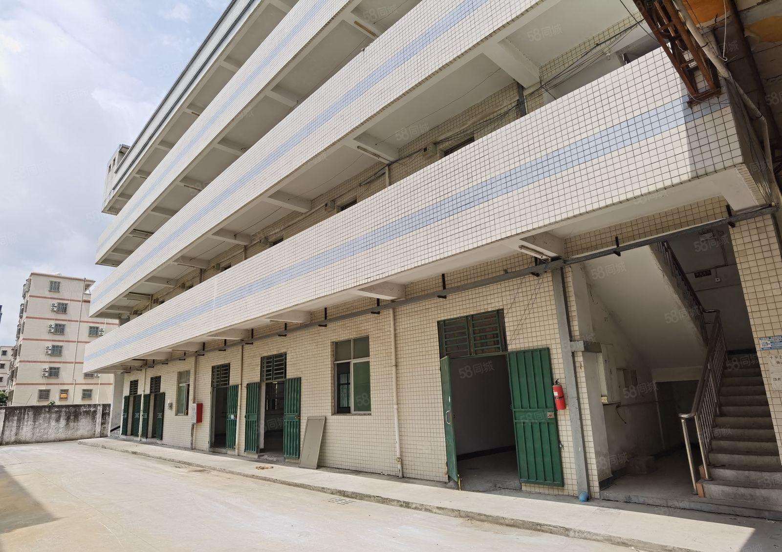 惠州惠阳区镇隆7000平米标准独院厂房原房东实际面积出租