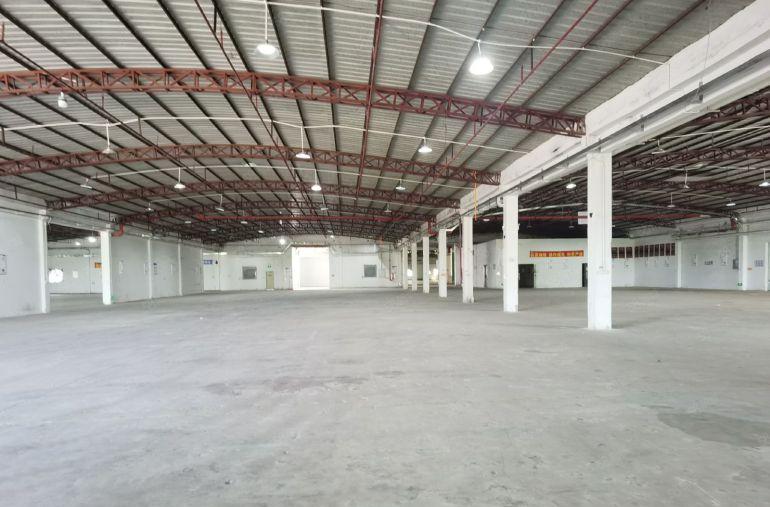 临深惠阳新圩工业区原房东独院钢构厂房5800平可分租主干道旁