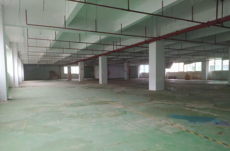 惠州惠阳镇隆原房东4000平独栋厂房低价出租园区形象好易招工