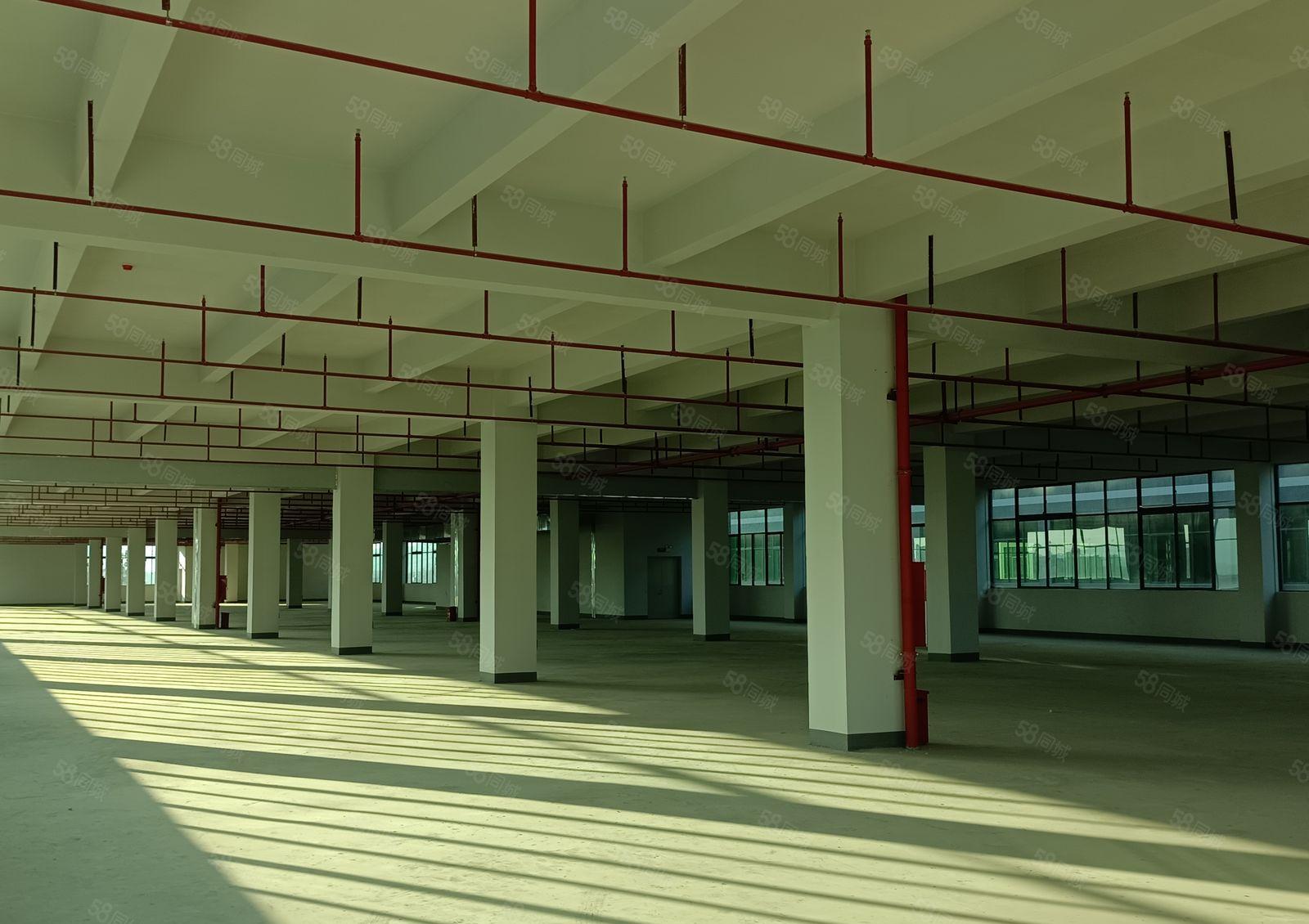 惠阳秋长临深产业园花园式红本工业厂房出租 可办环评标准厂房