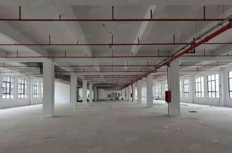 惠阳秋长原房东工业园8万平方出租(大小分租)