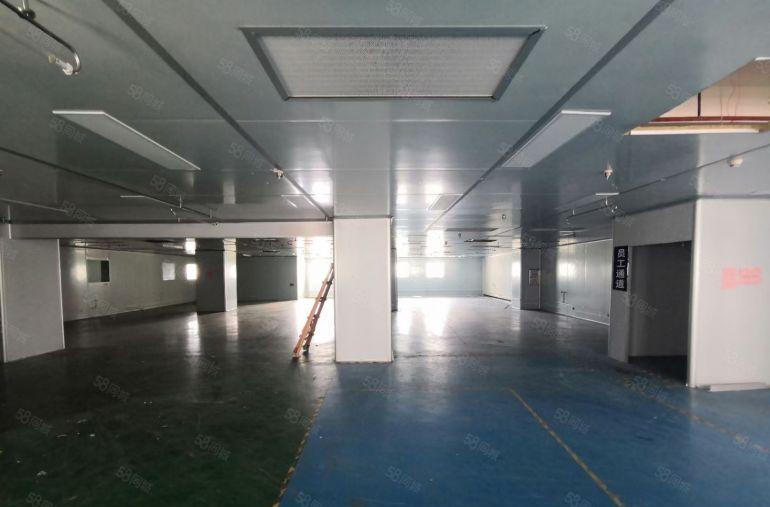 (带无尘车间)惠阳区花园式标准厂房1600平方证件齐全出租