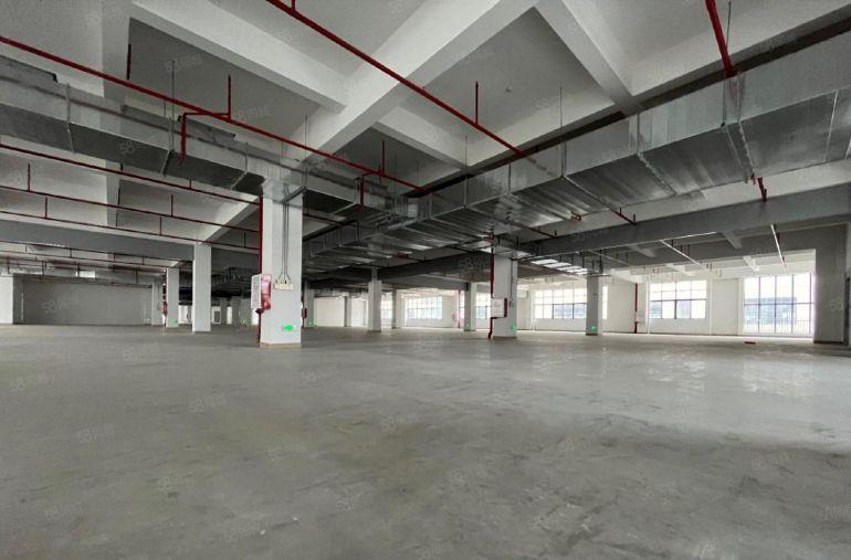 惠阳10元特价厂房出租，免租其四个月，不限行业  房东直租