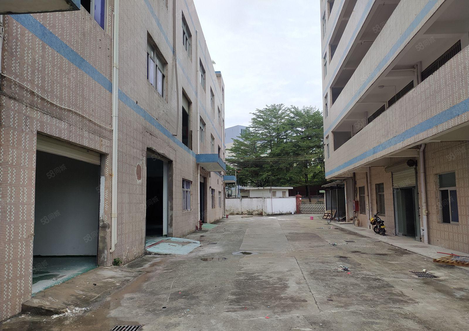 惠州惠阳新圩独门独院厂房出租5000平大小分租带装修好进车