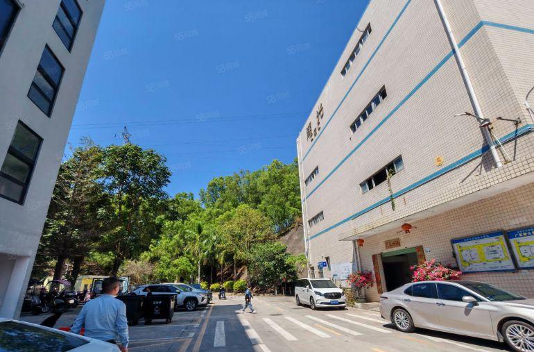 秋长淡水一楼1500平6米高房东低价出租现成装修办公水电齐全