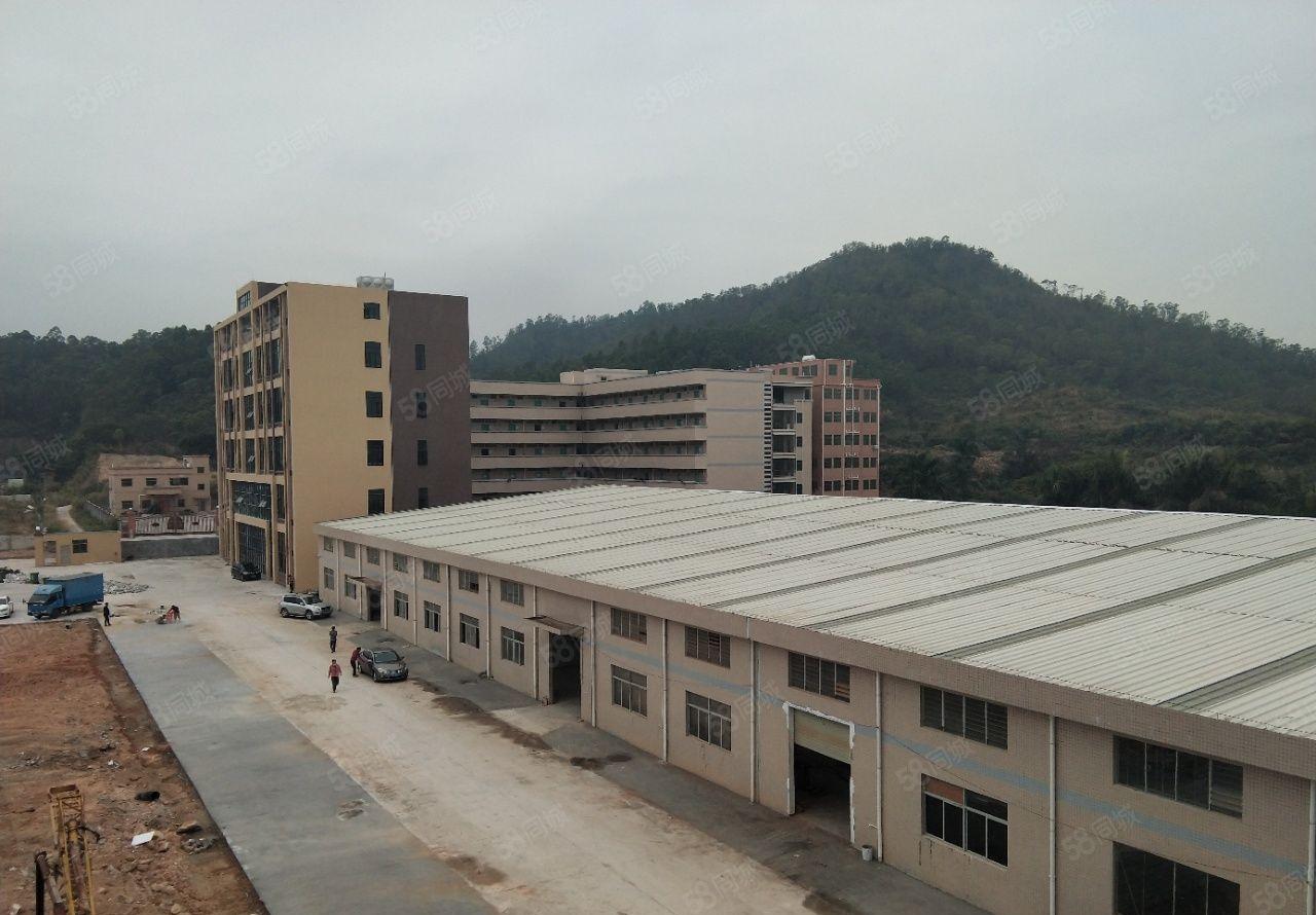 惠阳秋长白石新空出带喷油房滴水7米高钢结构厂房5000平出租