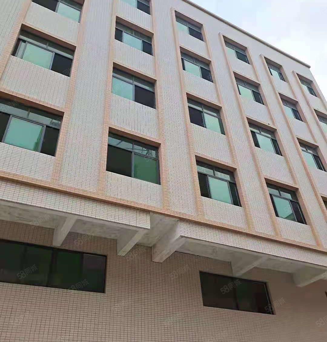 秋长新塘独栋厂房，证件齐全，大小可分