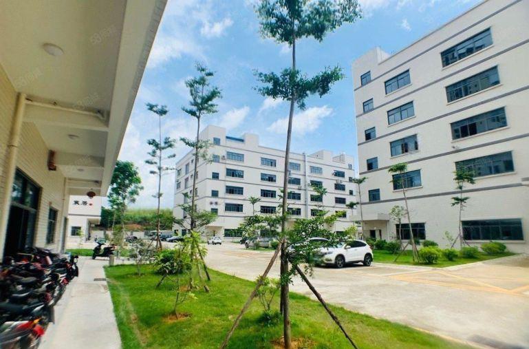 临深9元厂房，1000平精装修，原房东厂房仓库出租，高使用率