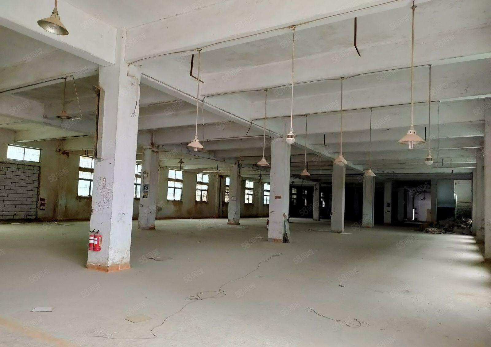 独院厂房出租，厂房8000平米，宿舍2000平米