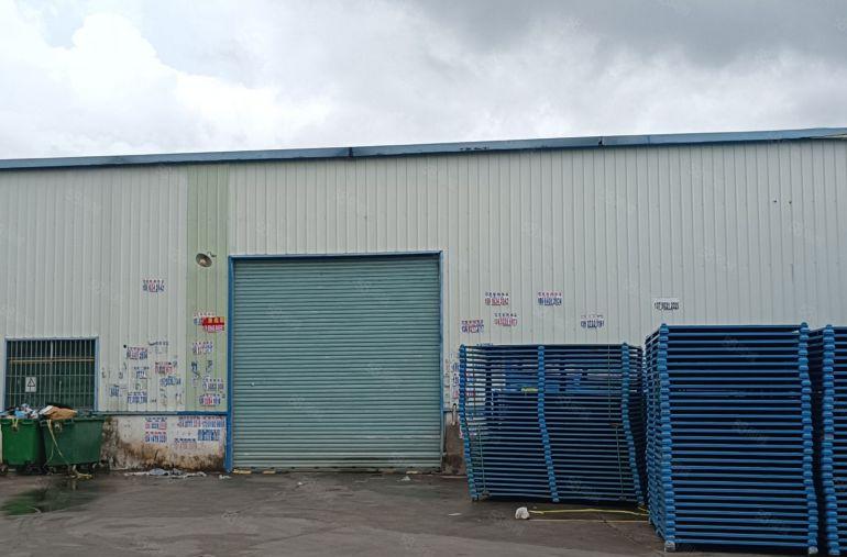 惠阳新圩新出靠山边钢结构厂房2000平方米