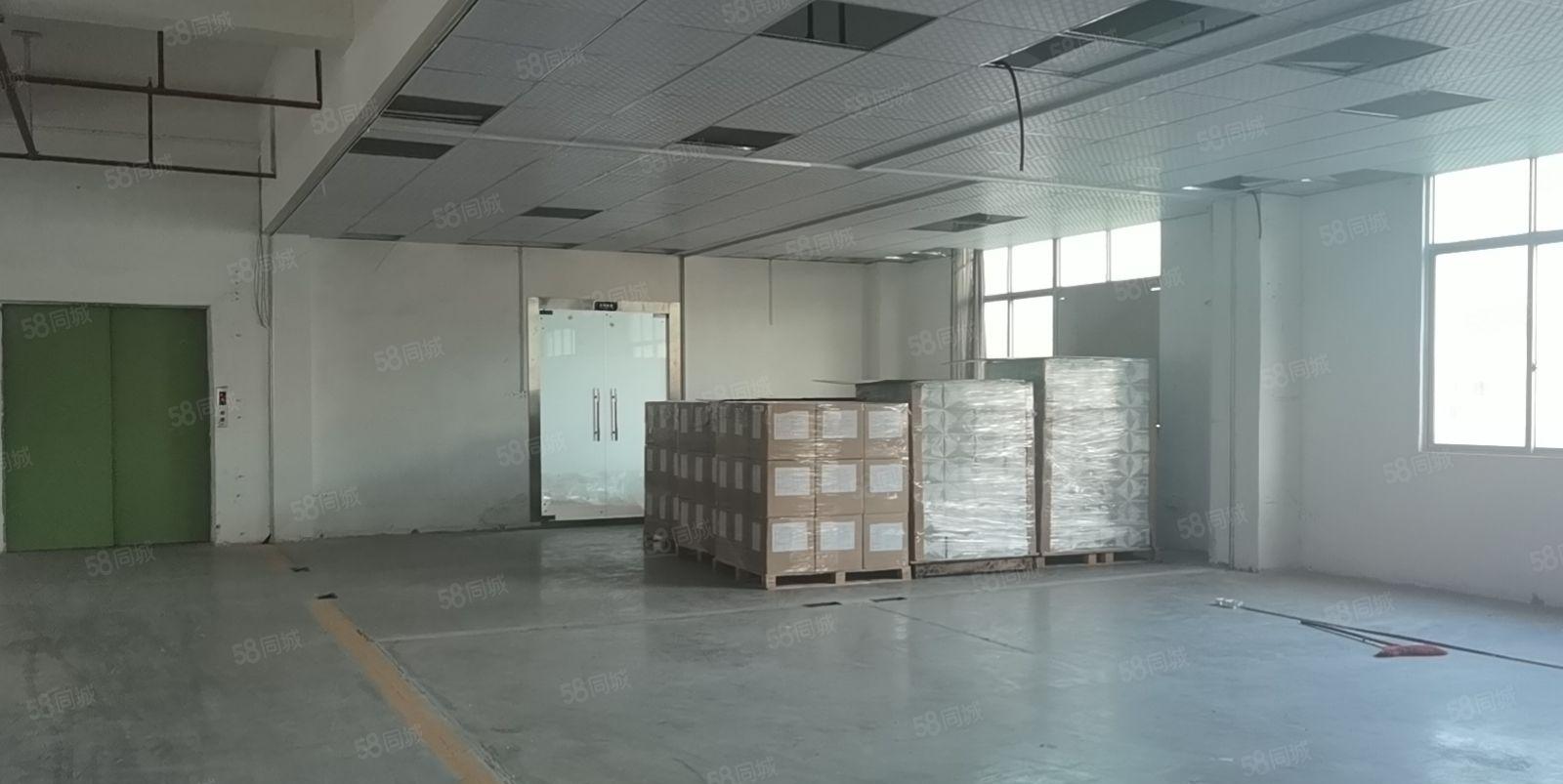 惠州市惠阳区沙田镇沈海高速路口旁成熟工业园标准厂房出租