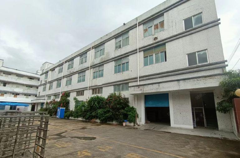 惠阳新圩独门独院5000平仓库厂房出租一楼高6米200平起租