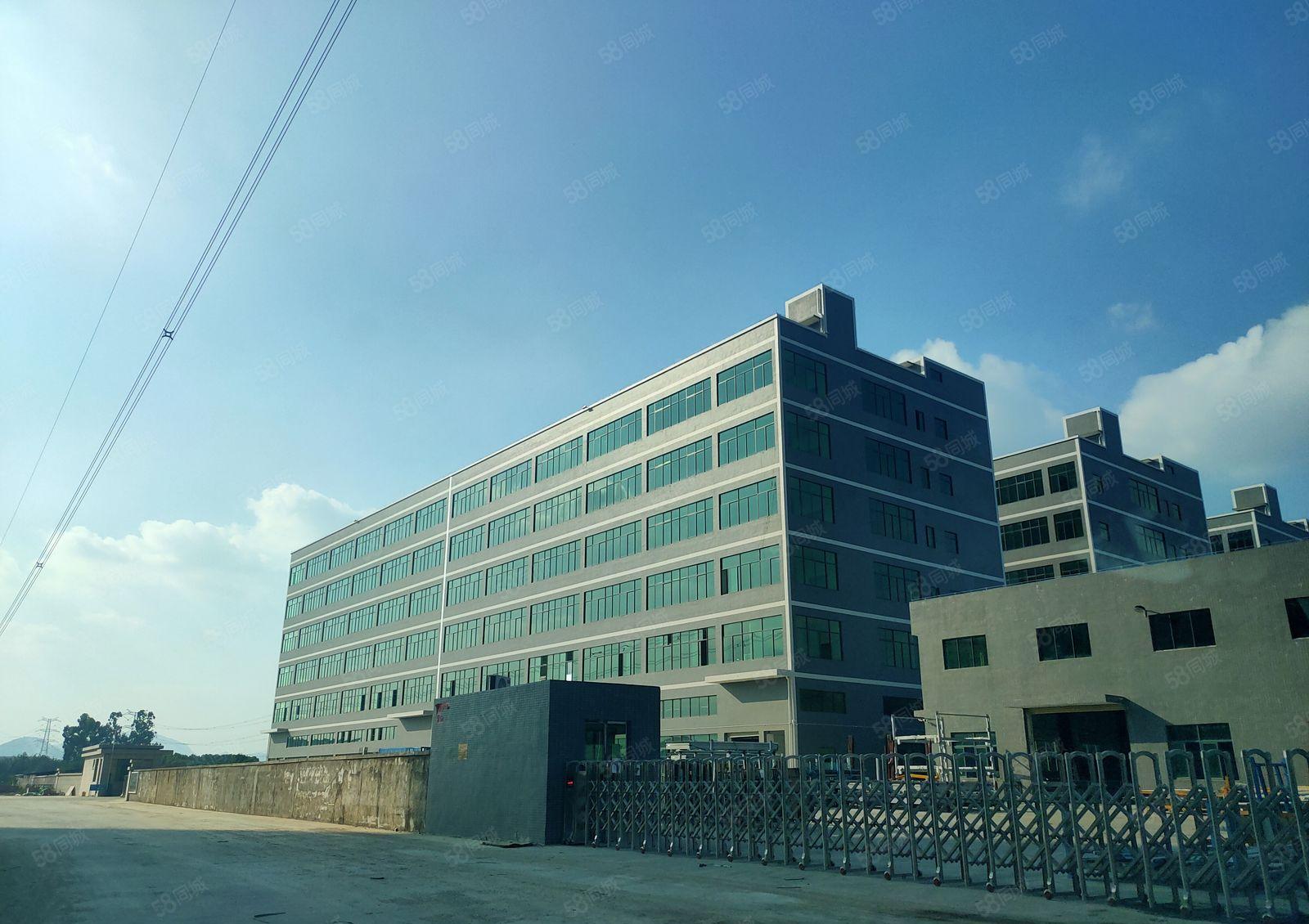 惠东县白花镇新出43000平标准厂房招租可整可分租