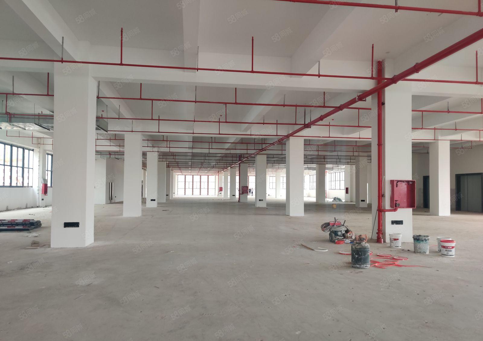 8元200平起淡水秋长原房东红本无公摊2万平厂房一楼仓库