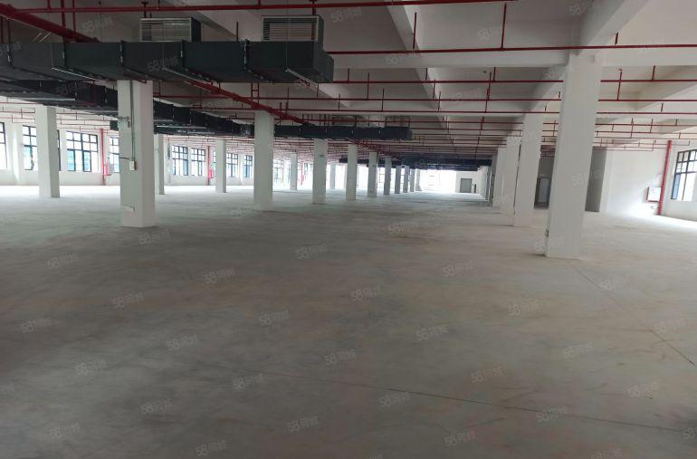 永湖镇，实际面积出租