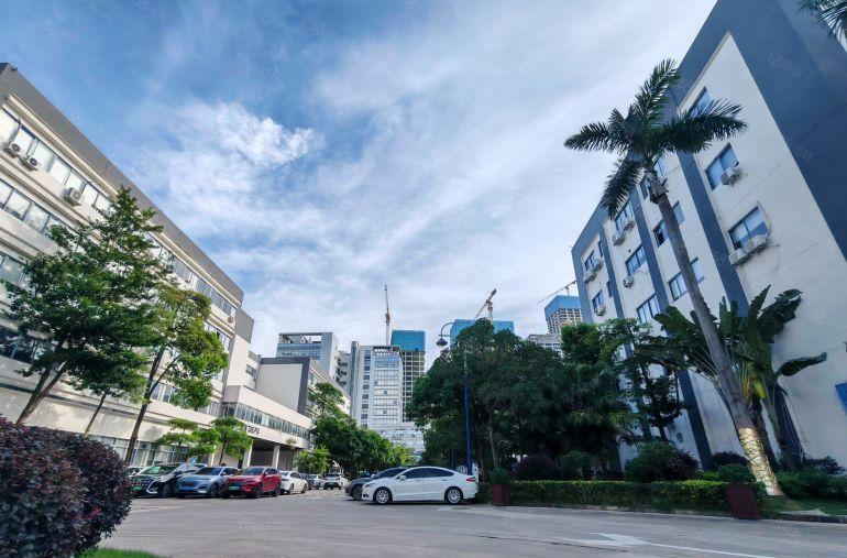 临深，临深惠阳区秋长白石8元原房东红本精装修厂房出租