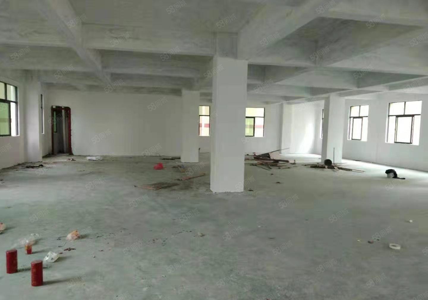 秋长新塘独栋厂房，证件齐全，大小可分