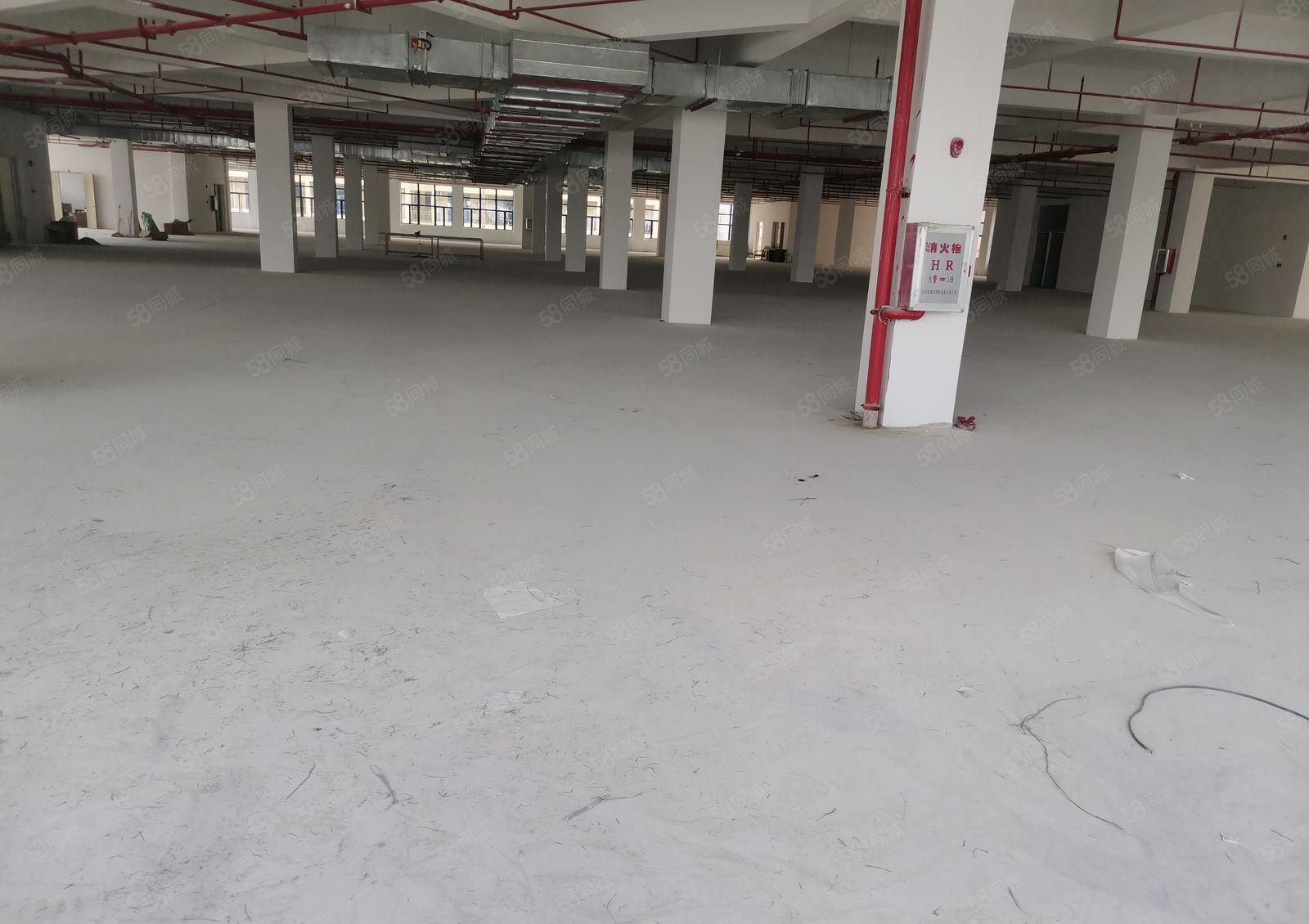 全新带5吨货梯单层4500平出租！四面通透！