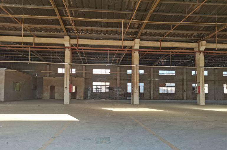 红本独栋钢构厂房出租 2200平方 可分租 靠山边 滴水7米