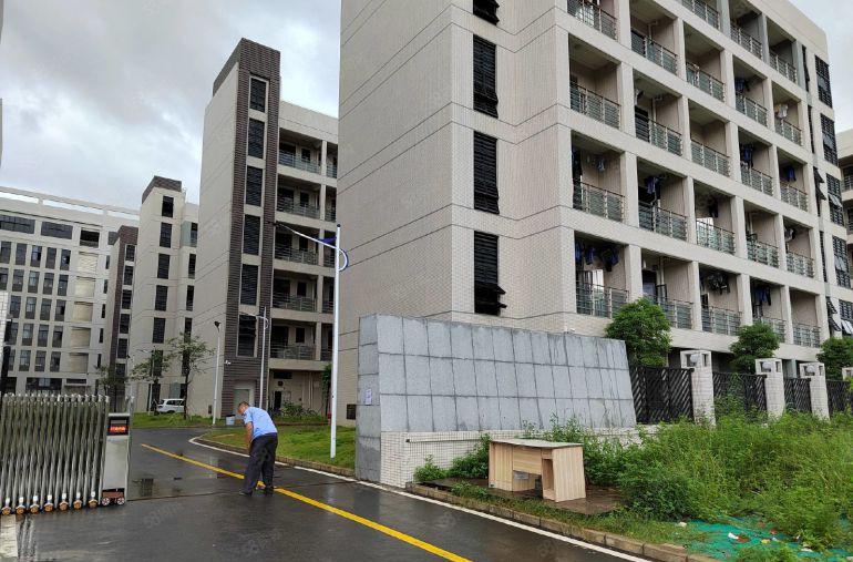 12元300平起分跟深圳一河之隔的国有红本厂房20000平