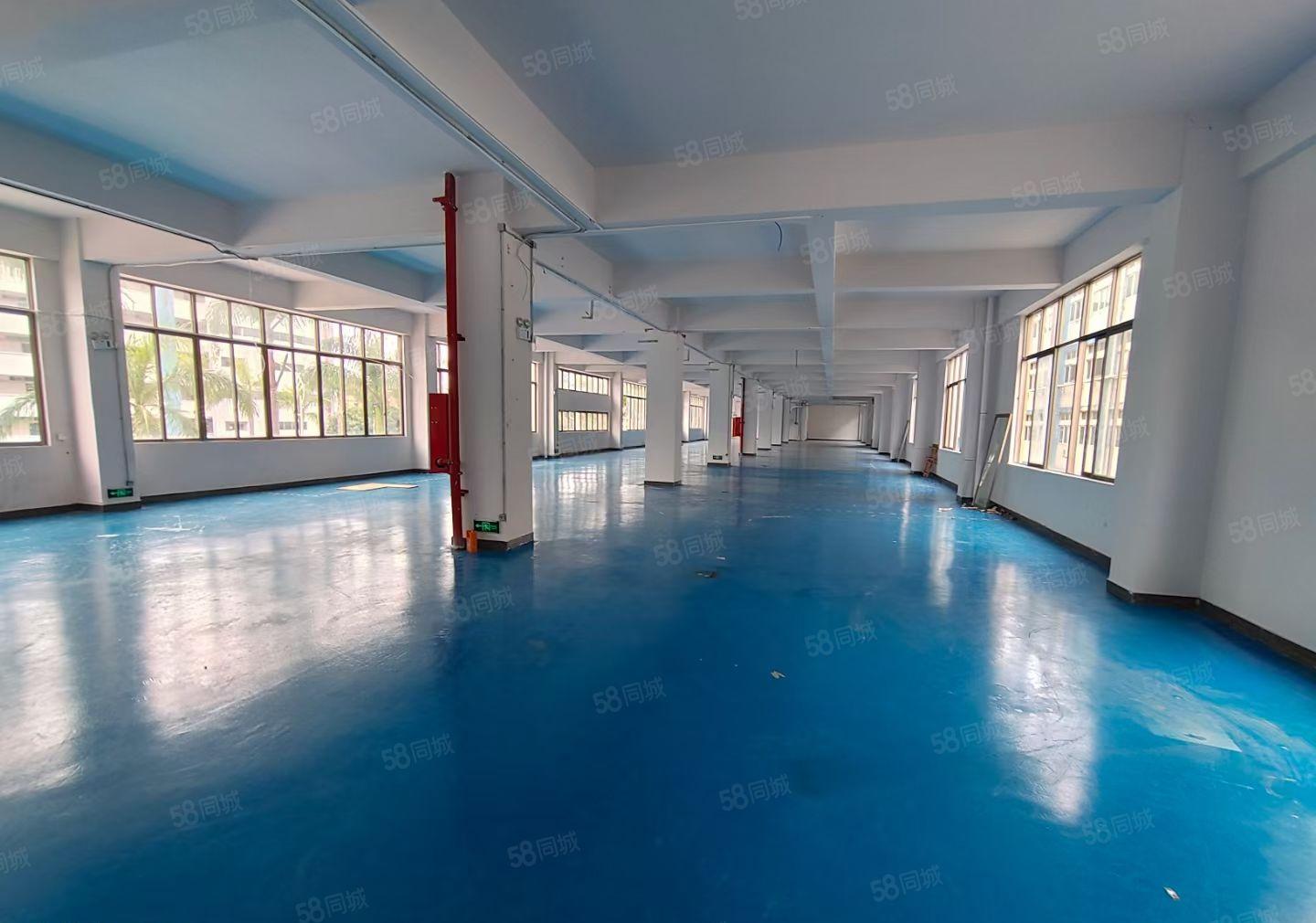 惠阳秋长将军路口新出低价村委厂房1500平可做除排水外行业