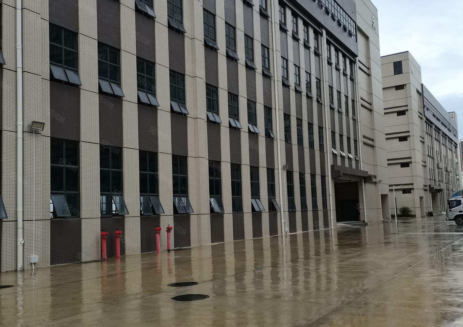 镇隆原房东全新工业区标准一楼2000平米厂房仓库出租可办环评