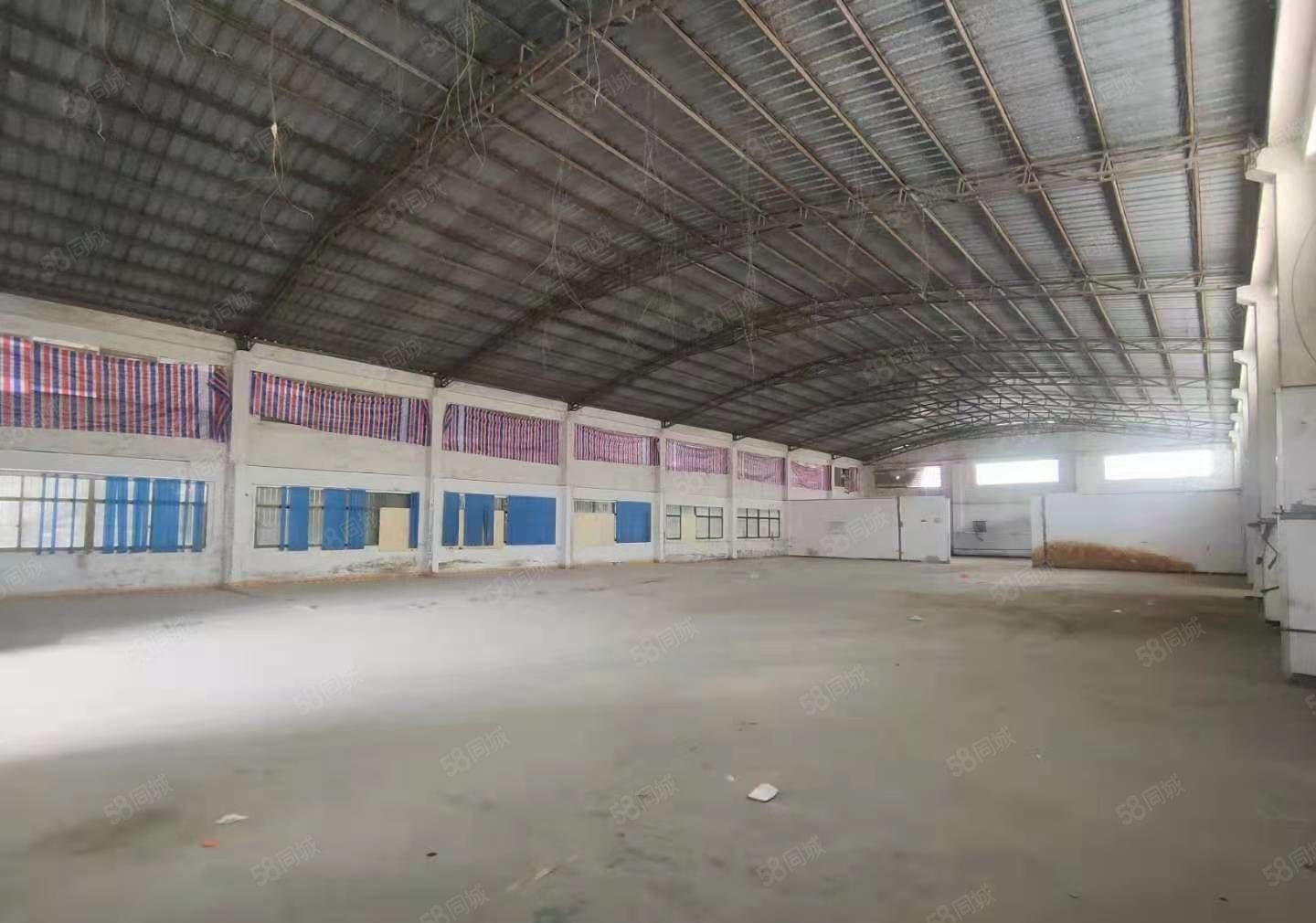 新圩工业园区3000平方钢构厂房出租，500平起分