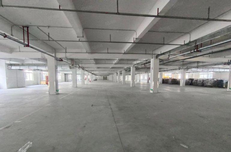 6元新建厂房，大小可分，原房东厂房仓库出租，高使用率，空地大