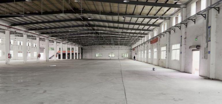 惠阳秋长新出8千平方米原房东8米高独院钢结构厂房仓库低价出租