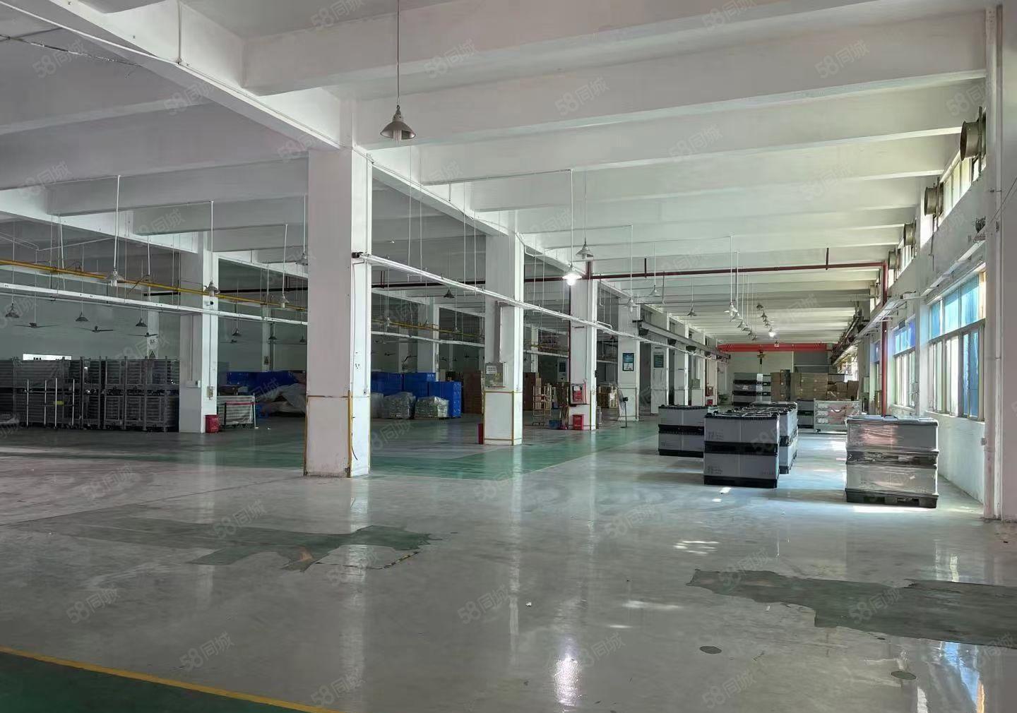 惠阳区秋长新塘新出标准独院标准厂房13层6500平方招租